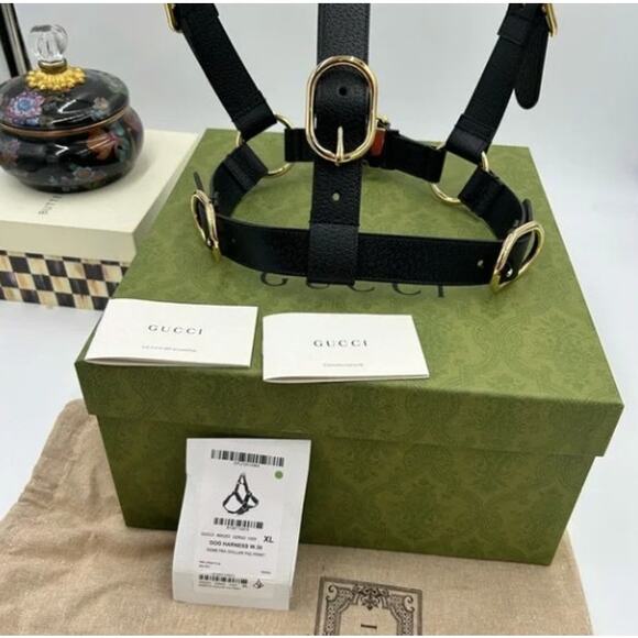 Gucci demetra , extra large leather dog harness made in Italy - Picture 3 of 14